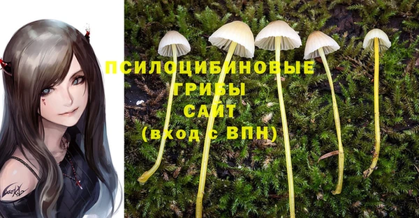 синтетический гашиш Белоозёрский