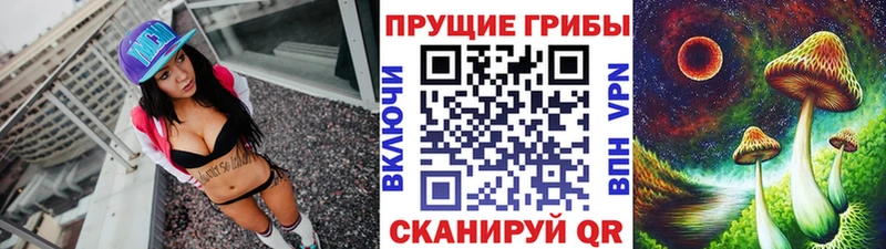 как найти   Закаменск  Псилоцибиновые грибы MAGIC MUSHROOMS 